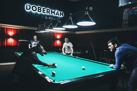 Игра в бильярд в клубе “DOBERMAN” Томск.Ultra Подарки. Игра в бильярд в клубе “DOBERMAN” Томск. Попробуйте настоящий русский бильярд, в бильярдном клубе. Сервис: UltraPodarki.ru 8 800 505 95 30. Игра в бильярд, игра в бильярд Томск, русский бильярд, русский бильярд Томск, бильярдный клуб доберман, бильярдный клуб Томск, бильярд Томск, игра в бильярд doberman, игра в бильярд doberman Томск