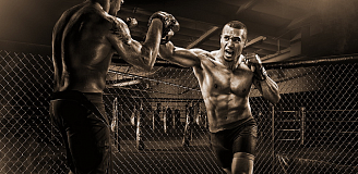 Смешанные единоборства Смешанные единоборства