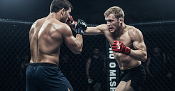 Смешанные единоборства