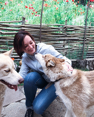 Катание на хаски в Томске. Ultra Подарки. Катание на хаски в Томске. Попробуйте Катание на хаски. Сервис: UltraPodarki.ru 8 800 505 95 30. Катание на хаски Томск, Катание на хаски в Томске, хаски, животные в Томске,