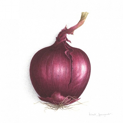 Ботаническая акварель. Подарочные сертификаты Ultra Подарки Томск. Купить оригинальный подарок или подарочный сертификат на Ботаническая акварель. Сервис UltraPodarki.ru Томск 8 800 505 95 30. 