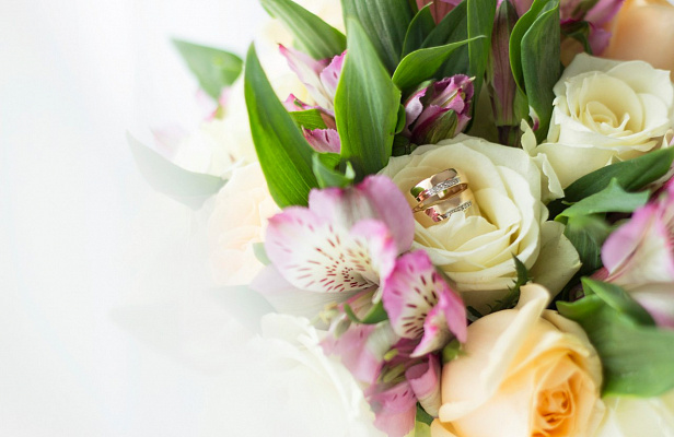 Фотосессия "Регистрация в ЗАГСе". Подарочные сертификаты Ultra Подарки Томск. Купить оригинальный подарок или подарочный сертификат на Фотосессия "Регистрация в ЗАГСе". Сервис UltraPodarki.ru Томск 8 800 505 95 30. 