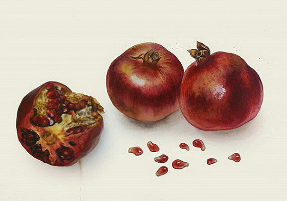 Ботаническая акварель. Подарочные сертификаты Ultra Подарки Томск. Купить оригинальный подарок или подарочный сертификат на Ботаническая акварель. Сервис UltraPodarki.ru Томск 8 800 505 95 30. 