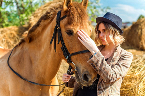 Конная прогулка для двоих в Томске. Подарочные сертификаты Ultra Подарки. Купить оригинальный подарок или подарочный сертификат на Конная прогулка для двоих в Томске. Сервис UltraPodarki.ru 8-800-505-9530. Катание на лошадях, Прогулка на лошади, Прогулка на лошадях для двоих, Конная прогулка для двоих, конный клуб, Конный клуб в Зональном, Конный клуб Казачество, конная прогулка, конная прогулка в Томске