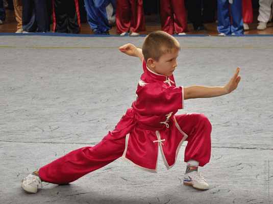 Ушу для детей. Подарочные сертификаты Ultra Подарки Томск. Купить оригинальный подарок или подарочный сертификат на Ушу для детей. Сервис UltraPodarki.ru Томск 8 800 505 95 30. 