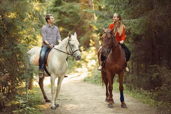 Конная прогулка для двоих в Томске. Подарочные сертификаты Ultra Подарки. Купить оригинальный подарок или подарочный сертификат на Конная прогулка для двоих в Томске. Сервис UltraPodarki.ru 8-800-505-9530. Катание на лошадях, Прогулка на лошади, Прогулка на лошадях для двоих, Конная прогулка для двоих, конный клуб, Конный клуб в Зональном, Конный клуб Казачество, конная прогулка, конная прогулка в Томске